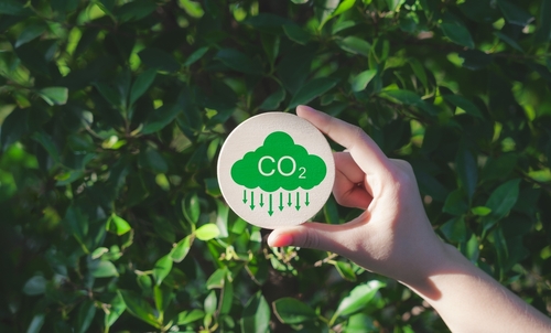 Green Carbon Sign CO2